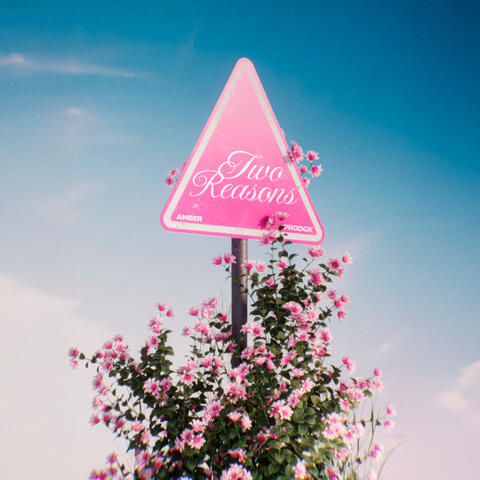 Two Reasons album art