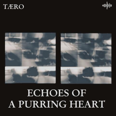 Echoes Of A Purring Heart album art