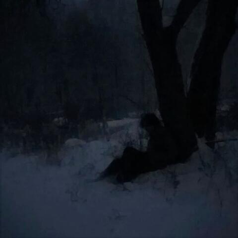 un soir de décembre :( album art