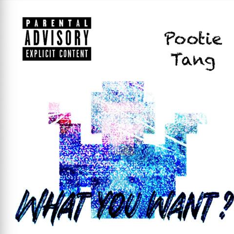 What You Want ? album art