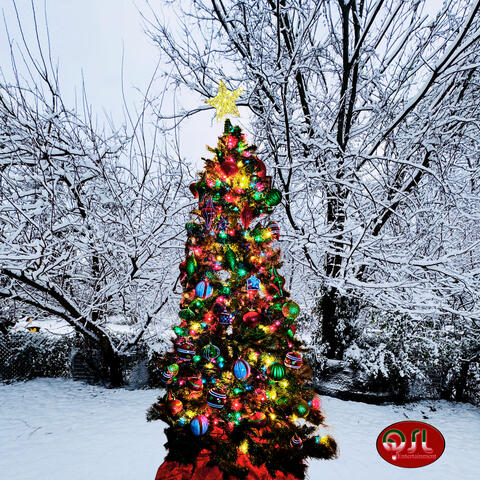 A QSL CHRISTMAS album art