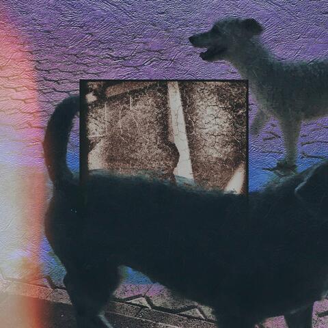 First Night album art