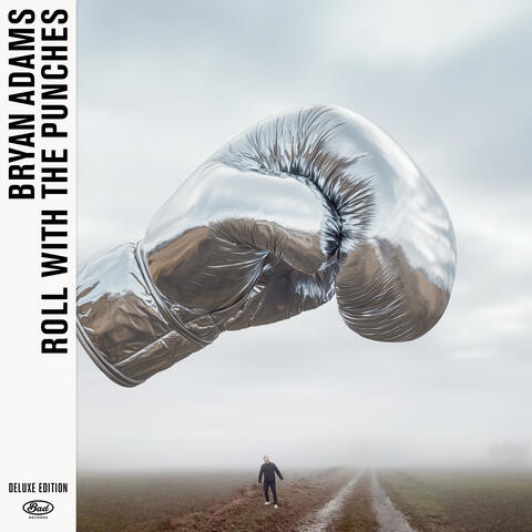 Roll With The Punches album art
