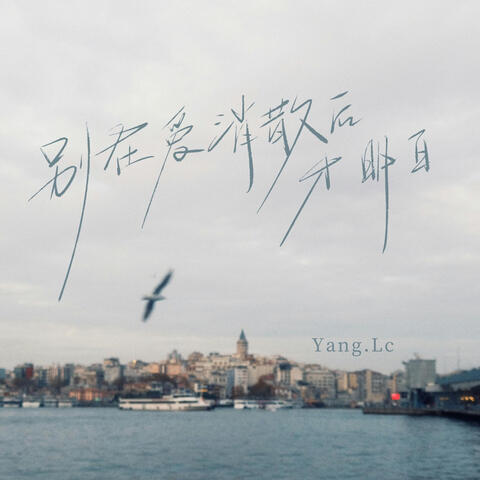 别在爱消散后才明白(DJ九零版) album art