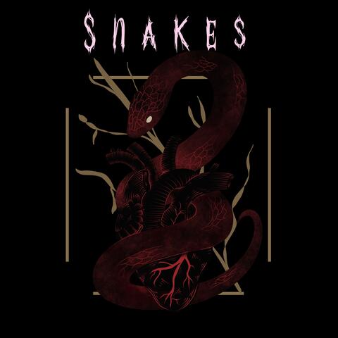 Snakes album art