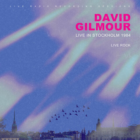 David Gilmour: Live in Stockholm 1984 album art