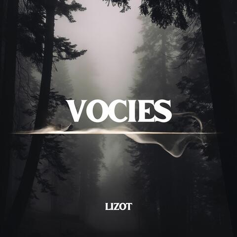 Voices album art