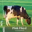 Pink Floyd: Live at BBC 1970 album artwork