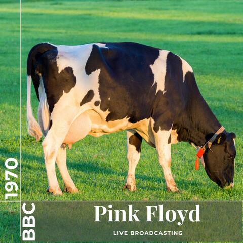 Pink Floyd: Live at BBC 1970 album art