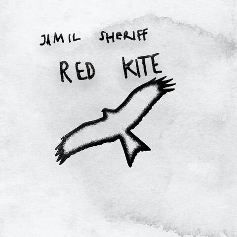 Red Kite album art