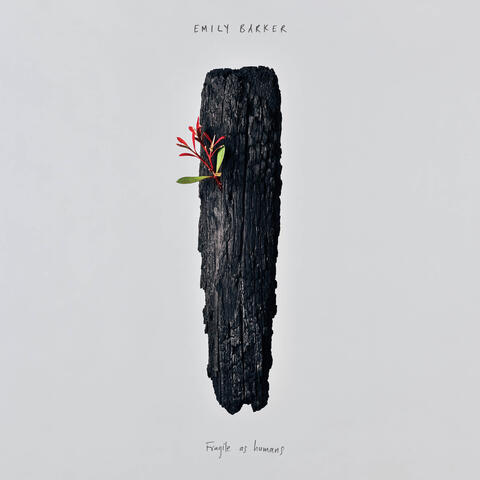 Fragile as Humans album art