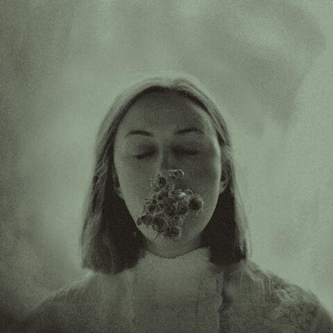 Les Ronces album art