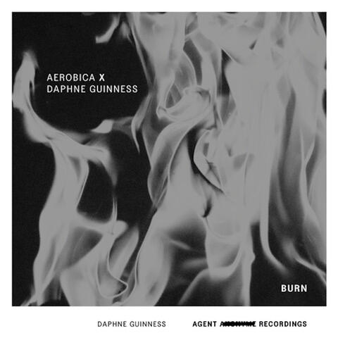 Burn album art