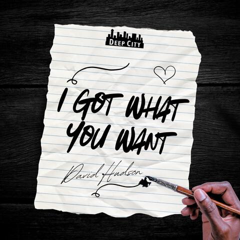 I Got What You Want album art