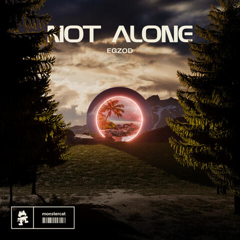 Not Alone album art