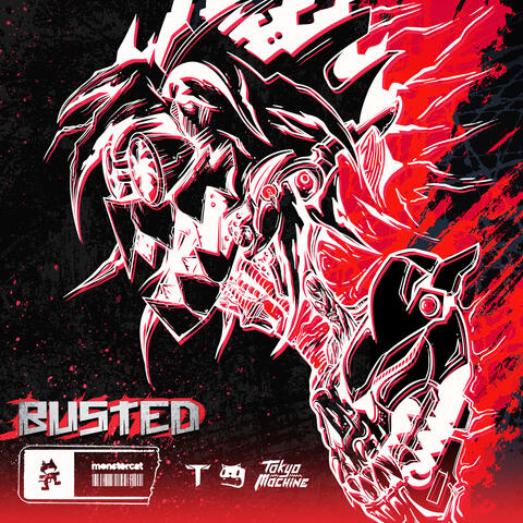 BUSTED album art