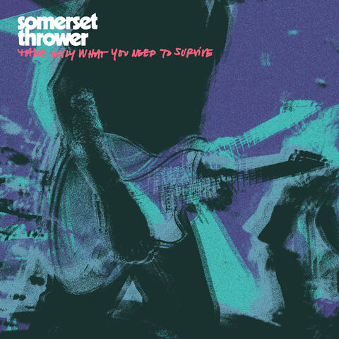 Take Only What You Need To Survive album art