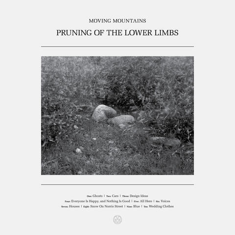 Pruning of the Lower Limbs album art