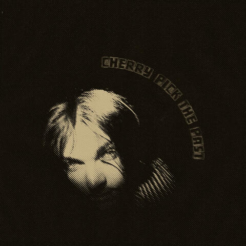 Cherry Pick the Past album art
