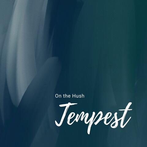 On the Hush album art