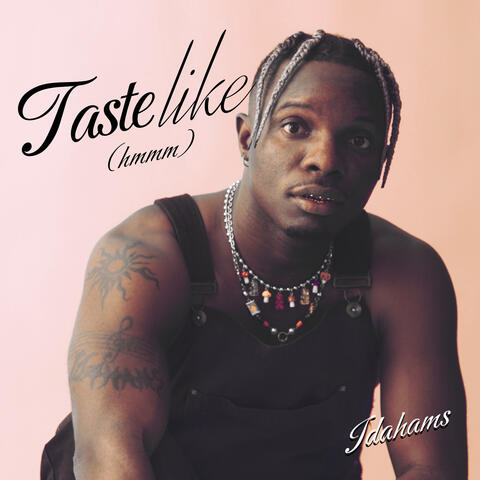 Taste Like (Hmmm) album art