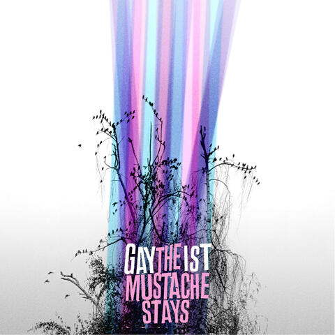 The Mustache Stays album art