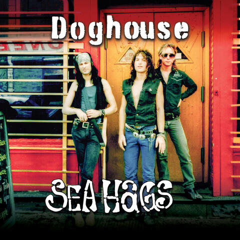 Doghouse album art