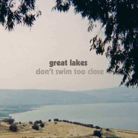 Don't Swim Too Close album art