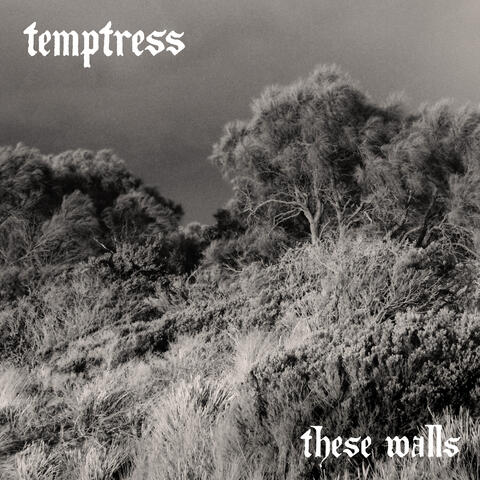 These Walls album art