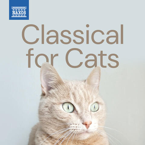 Classical for Cats album art