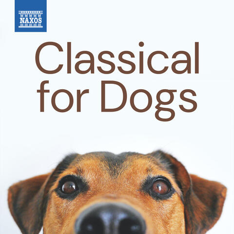 Classical for Dogs album art
