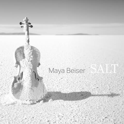 Salt album art