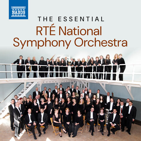 The Essential RTÉ National Symphony Orchestra album art
