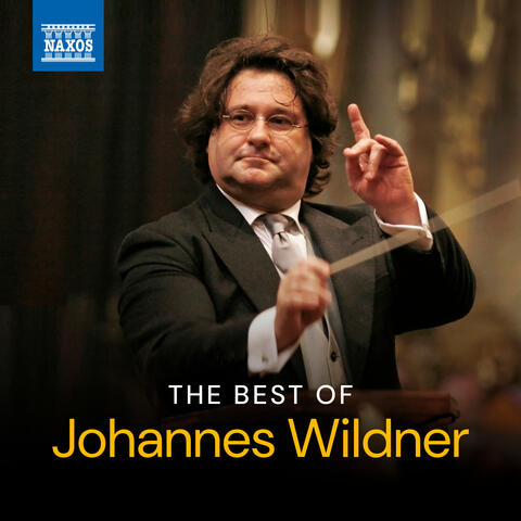 The Best of Johannes Wildner album art