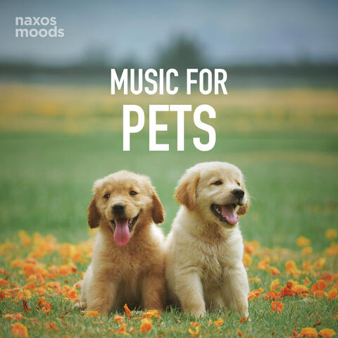 Music for Pets album art