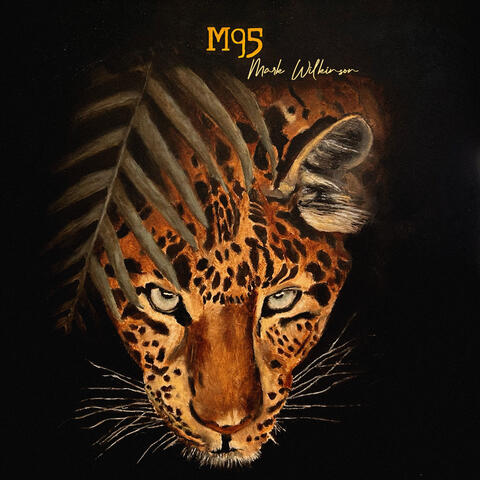 M95 album art