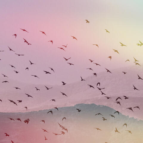 Moving Wings album art