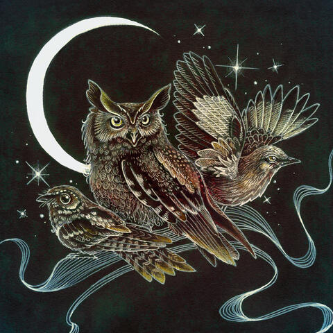 Certain Birds album art