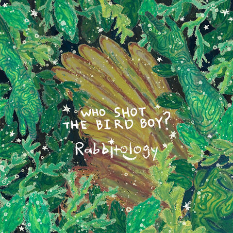 Who Shot the Bird Boy? album art