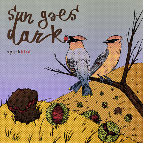 Sun Goes Dark album art