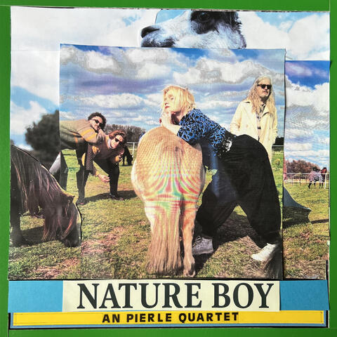 Nature Boy album art