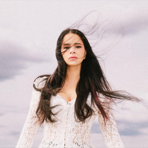 Volver album art