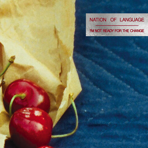 I'm Not Ready for the Change album art