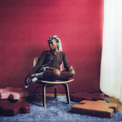 Describe album art