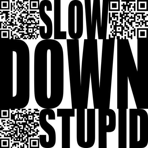 Slow Down Stupid album art