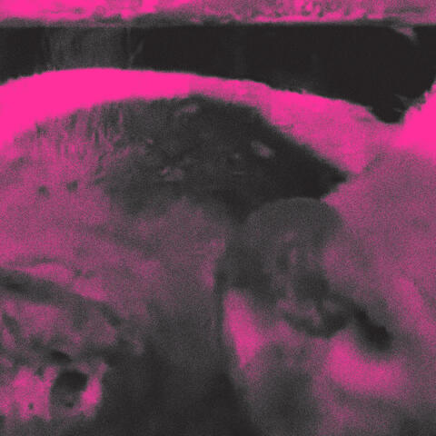 Fuck the Pigs (Umberto Rremix) album art
