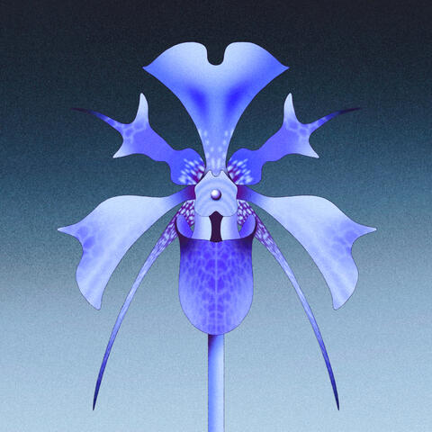 Embers album art