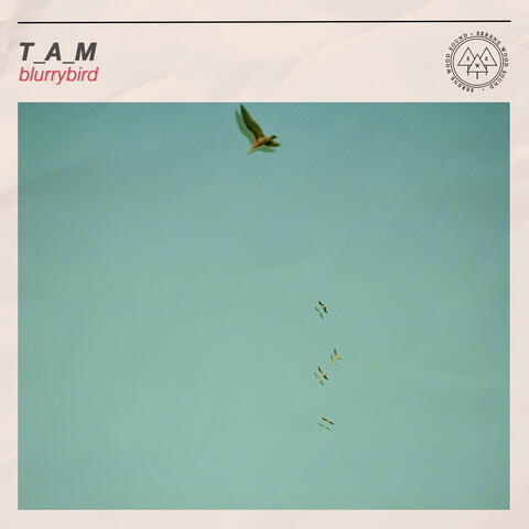 blurrybird album art