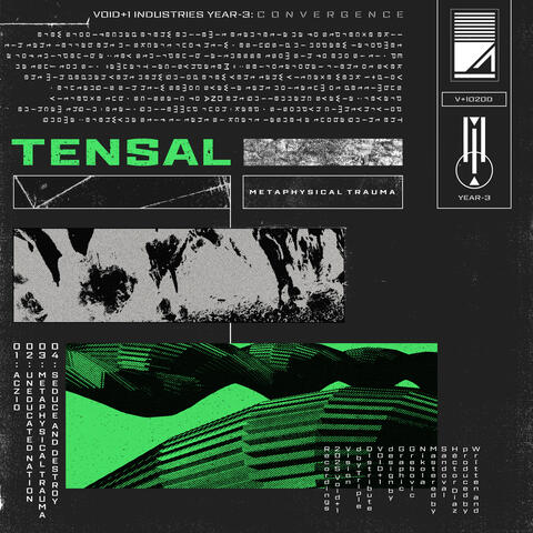 Metaphysical Trauma album art