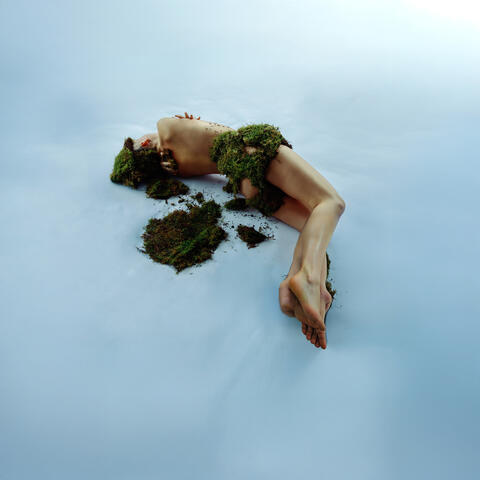 The Simulation album art